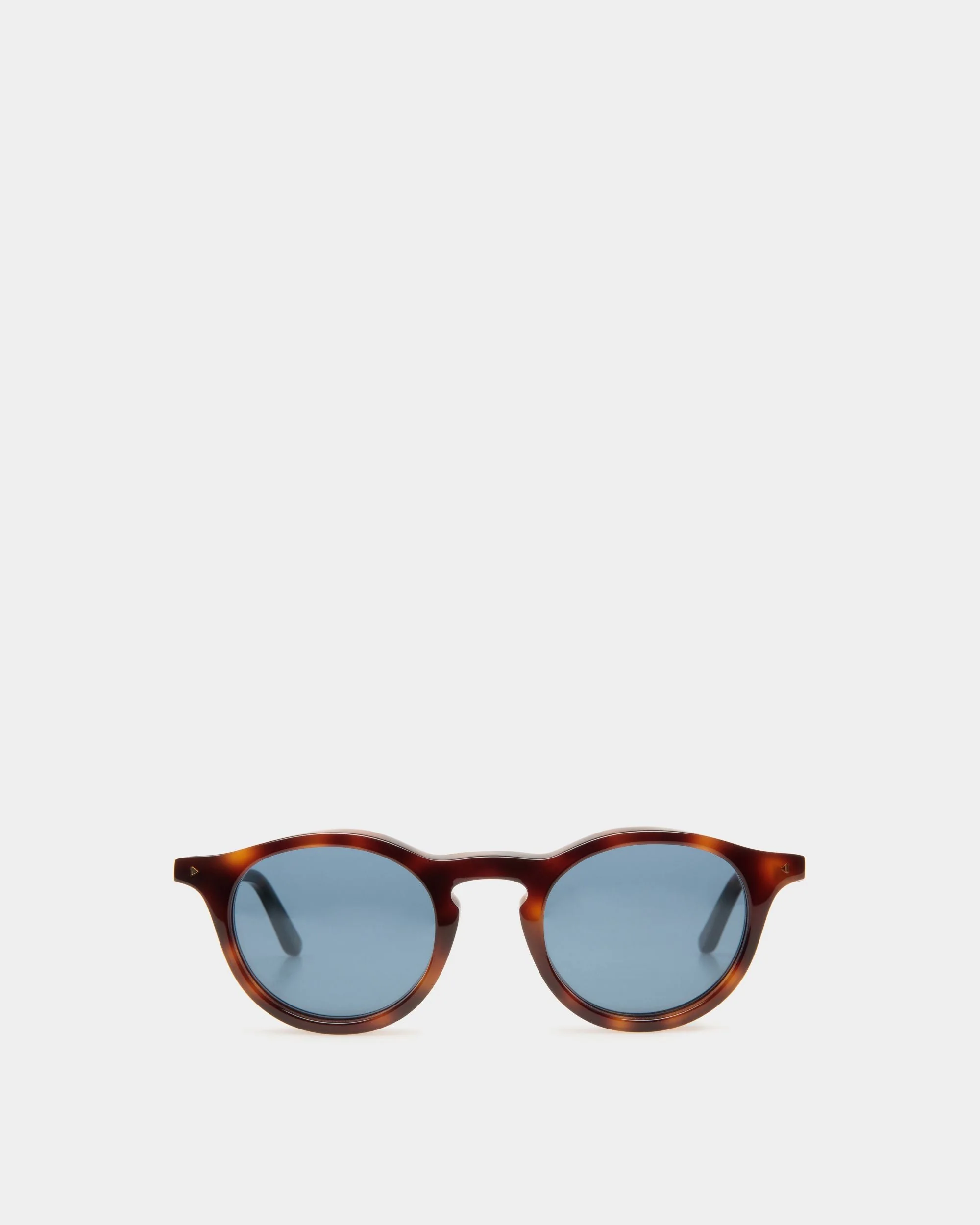 Hermann Sunglasses In Havana Acetate