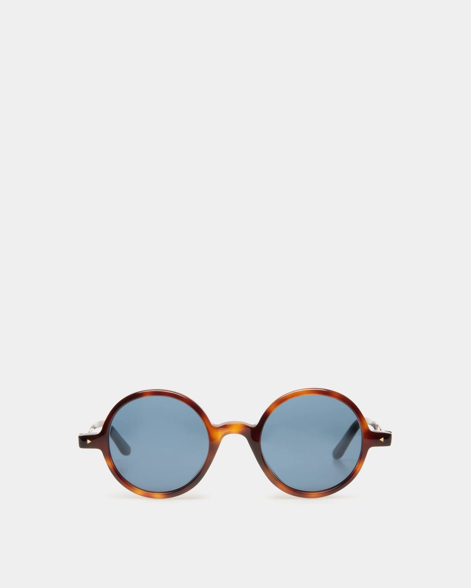 Otto Sunglasses In Havana Acetate