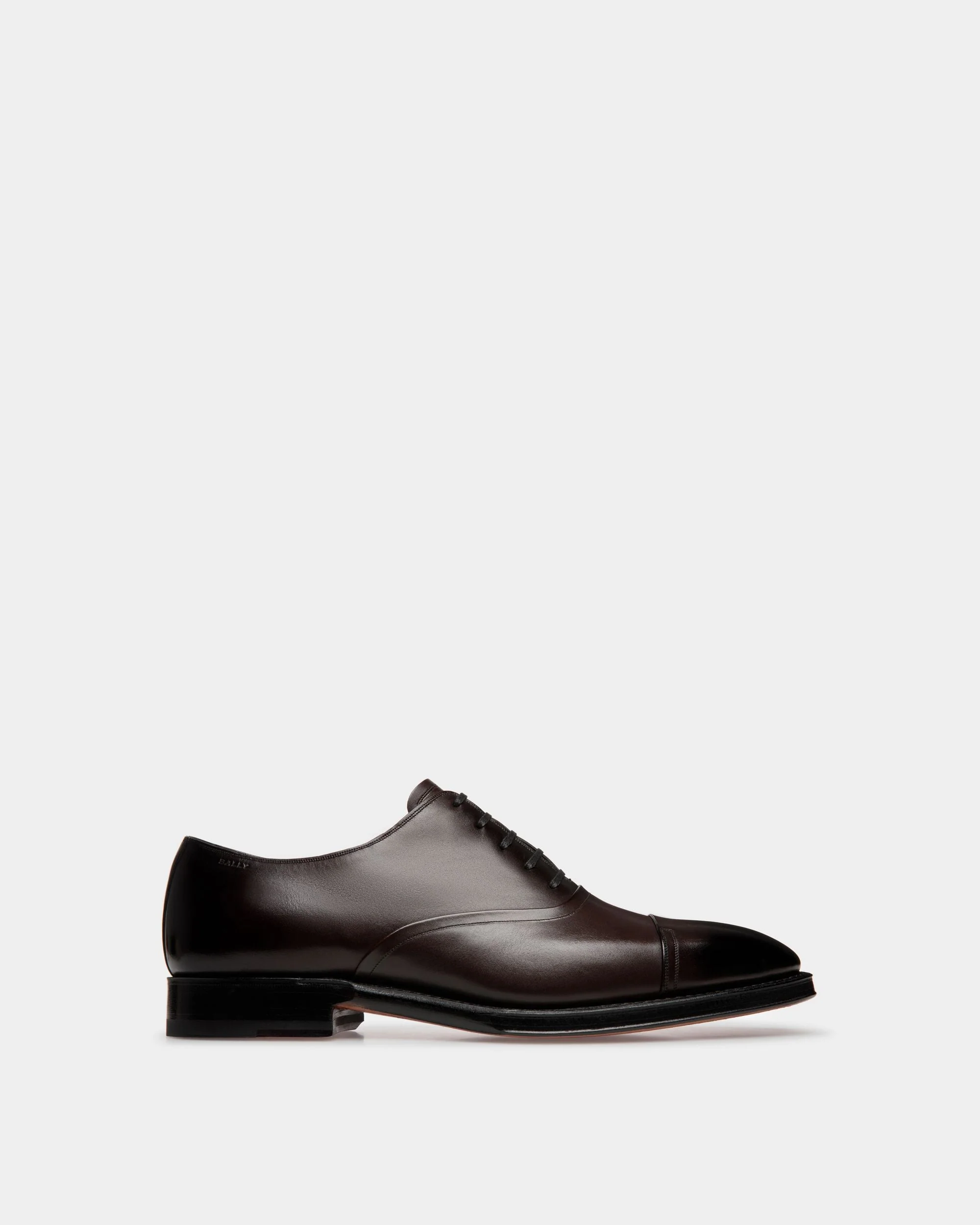 Scribe Oxford in Brown Leather